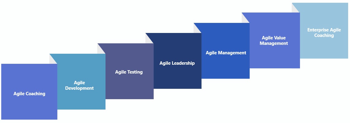 ICAgile Infographic